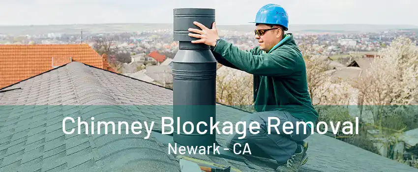 Chimney Blockage Removal Newark - CA