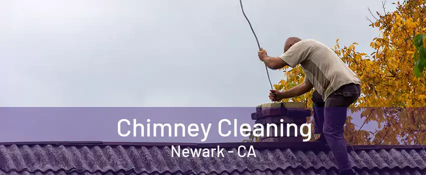 Chimney Cleaning Newark - CA