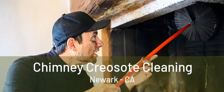 Chimney Creosote Cleaning Newark - CA