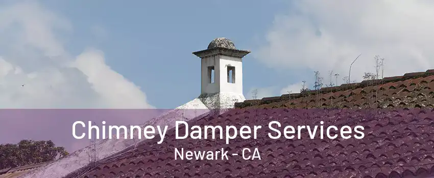 Chimney Damper Services Newark - CA