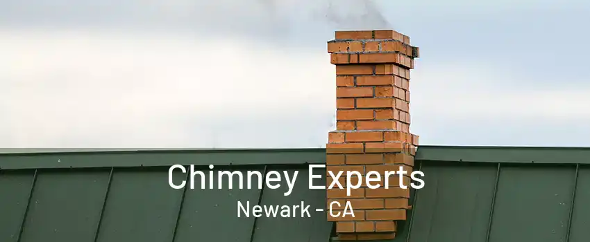 Chimney Experts Newark - CA