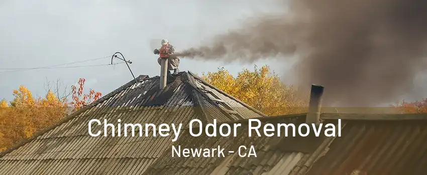 Chimney Odor Removal Newark - CA