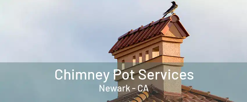 Chimney Pot Services Newark - CA