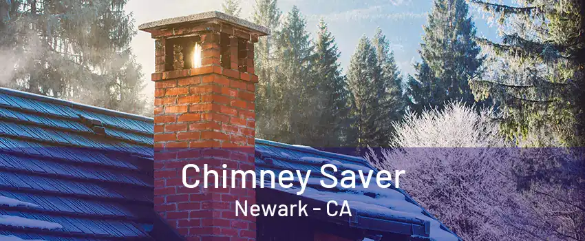 Chimney Saver Newark - CA