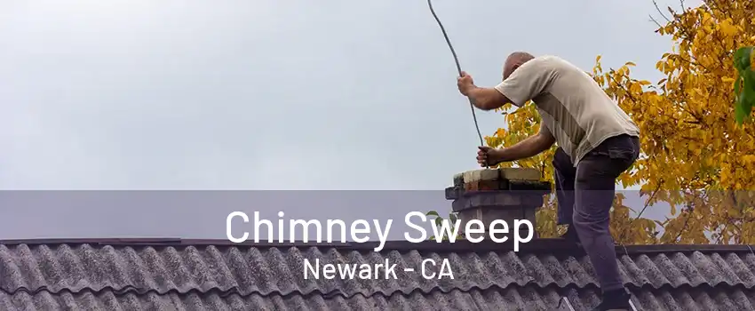 Chimney Sweep Newark - CA