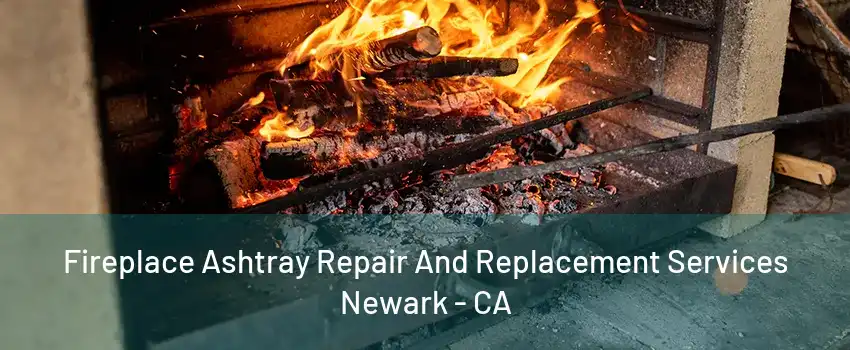 Fireplace Ashtray Repair And Replacement Services Newark - CA