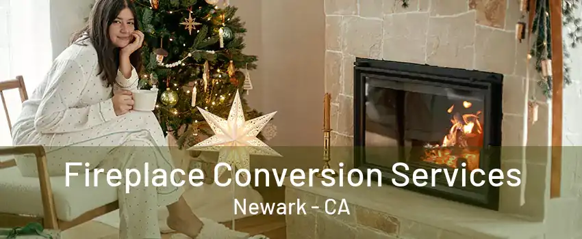 Fireplace Conversion Services Newark - CA