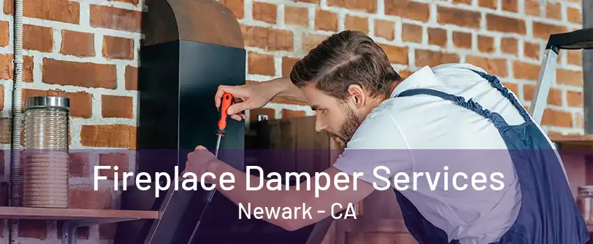 Fireplace Damper Services Newark - CA