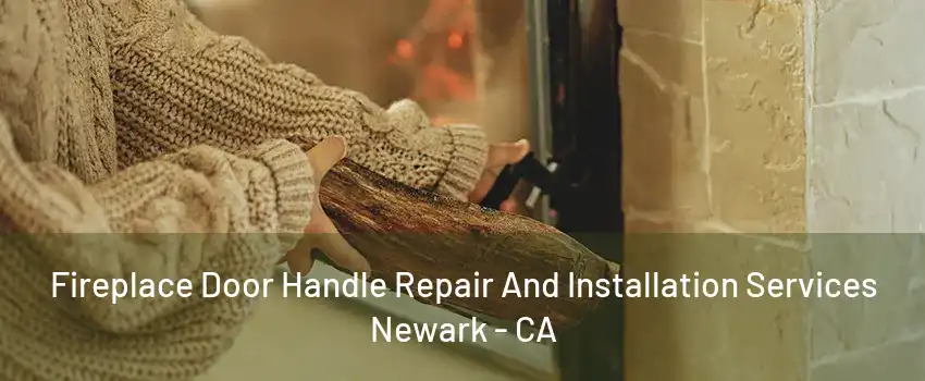 Fireplace Door Handle Repair And Installation Services Newark - CA