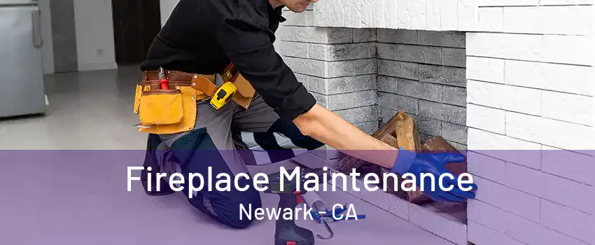 Fireplace Maintenance Newark - CA