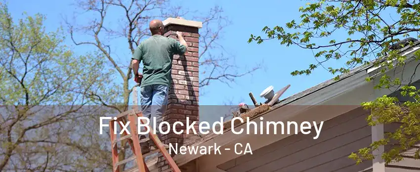 Fix Blocked Chimney Newark - CA