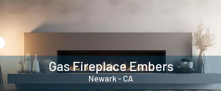 Gas Fireplace Embers Newark - CA