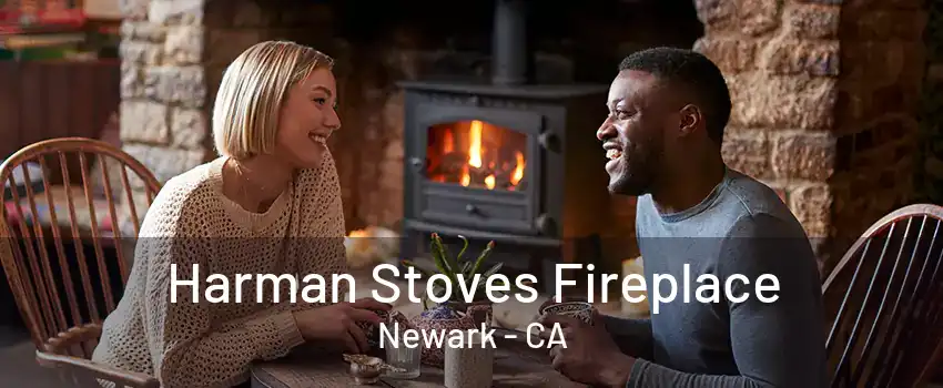 Harman Stoves Fireplace Newark - CA