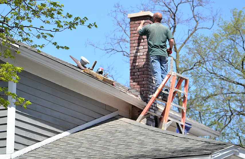 Chimney & Fireplace Inspections Services in Newark, CA