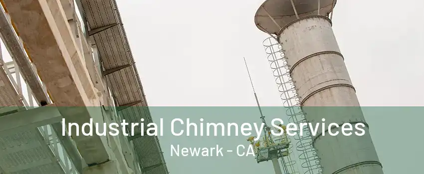 Industrial Chimney Services Newark - CA