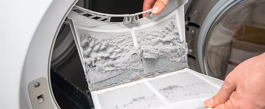 Best Dryer Lint Removal Company in Newark, California