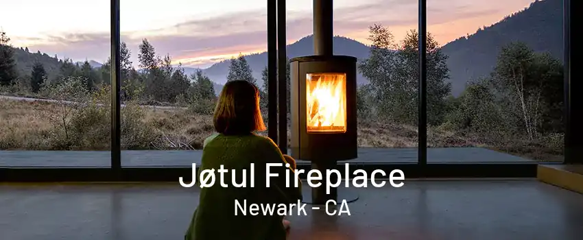 Jøtul Fireplace Newark - CA