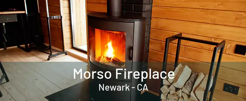 Morso Fireplace Newark - CA