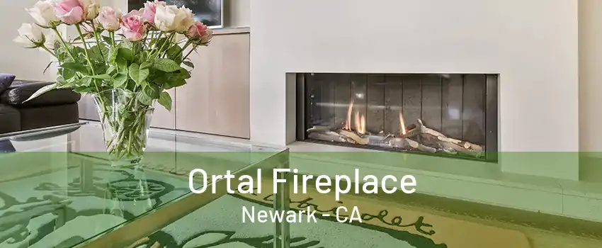 Ortal Fireplace Newark - CA